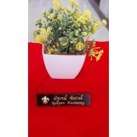 ราคา ป้ายชื่อลูกเสือด้ามขวาน ป้ายชื่อลูกเสือไม้พยุง ป้ายชื่อลูกเสือไม้ทำจากไม้พยุงไม้มงคลแท้ (22467075225)