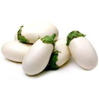 ราคา 50 เมล็ด มะเขือ มะเขือขื่น มะเขือเสวย มะเขือขันคำ เมล็ดพันธุ์แท้ Non GMO Eggplant Seeds มะเขือขาวยักษ์ (21784355641)