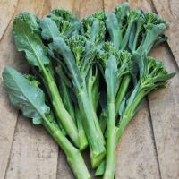 ราคา 500 เมล็ด คะน้า คะน้าใบ คะน้าเห็ดหอม คะน้าก้านใหญ่ คะน้าจีน คะน้าฮ่องกง Chinese Kale seeds (21822881456)