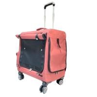 ราคา ่jaywa กระเป๋าแมวล้อลากสะพายได้ กระเป๋าเป้แมวมีล้อ กระเป๋าหมาล้อลากสะพาย ใส่แมว2ตัว ใส่แมวตัวใหญ่ ลากขึ้นบันไดเลื่อนได้ (22868488525)