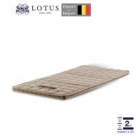 ราคา ถูกที่สุด LOTUS ที่นอนยางพารา 100 ออกแบบเพื่อบรรเทาอาการปวดหลัง ลดแรงกดทับ นำเข้าจาก Belgium ส่งฟรี (21733931834)