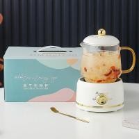 ราคา กาต้มน้ำไฟฟ้า ความจุ 600 ลิตร 360W กาต้มน้ำเพื่อสุขภาพ Health Kettle ของแท้ 100 รับประกัน 2 ปี (21428970223)