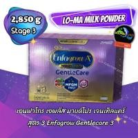 ราคา นมผง เอนฟาโกร เอพลัส มายด์โปร เจนเทิลแคร์ สูตร 3 2850กรัม (21748397934)