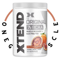 ราคา Scivation Xtend BCAA 30 servings Xtend BCAA (19759117842)