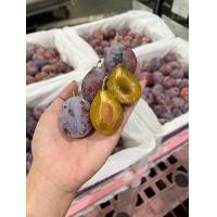 ราคา ส่งฟรีแช่เย็น ลูกพรุน พรุนสด ตะกร้าขาว แสนอร่อย หวานเจี๊ยบ น้ำหนัก 2 2 กิโลกรัม หวานฉ่ำ ยิ่งแช่เย็นยิ่งอร่อย ผลไม้สด (22822190850)