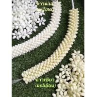 ราคา มะลิ วงพลาสติก วงเล็ก เสมือน จริง มะลิ วงร้อยมาลัย Small Plastic Jasmine Ring ขนาด 2 5 cm ถุงละ 325 บาท ของแท้ (22477892183)