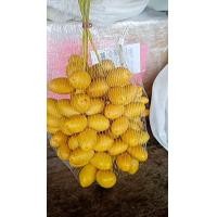 ราคา อินทผลัมผลสดพันธ์บาฮีเนื้อเยื่อแท้ไซร้A ขนาด2กิโลกรัม (19791821726)