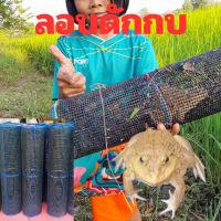 ราคา ลอบดักกบ ไซดักกบ ลอบพลาสติกดักกบ 2 ทาง กรงดักกบ ไซ ลอบ ดักกบ ลอบซิ่ง กับดักกบ ลอบกบ แงบกบ แงบดักกบ ลอบซิ่ง (22983554450)