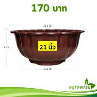 ราคา กระถาง อ่างเลี้ยงปลา อ่างบัว อ่างบัวจีบ 20 21 นิ้ว สีน้ำตาล สีโอ๊ค (22865526963)