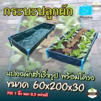 ราคา กระบะปลูกผัก แสนดี แปลงผักสำเร็จรูป พร้อมโครง PVC 1 นิ้ว หนา 8 5 อย่างดี ถุงกระบะปลูกผัก Farmpickup (22596425151)