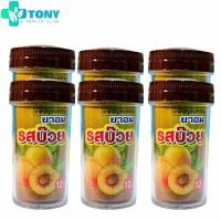 ราคา เม็ดอม รสบ๊วย ตราหงษ์ทอง ขนาด 100 เม็ดต่อหลอด Herbal Lozenges Hong Thong Brand Plum Flavor 100 tablets tube (22273288577)