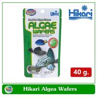 ราคา Hikari Algae Wafer อาหารปลา สำหรับปลากินพืช กินตะไคร่น้ำ ปลาแพะ ปลาหมู ขนาด 40 กรัม (22411184859)