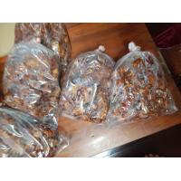 ราคา มะขามเปียก แบบแกะเม็ด มะขามใหม่ 500กรัม มะขามเปียกออร์แกนิคแท้ 100 พันธุ์พื้นบ้านหายาก เนื้อล้วน ใหม่ สะอาด ของ อุตรดิตถ์ (12847813695)