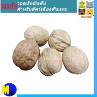 ราคา วอลนัท ลูกวอลนัท วอลนัทลับฟัน วอลนัทสำหรับสัตว์ฟันแทะ วอลนัทสำหรับแฮมเตอร์ กระรอก ชูก้าไกลเดอร์ เลือกจำนวน (16889498623)