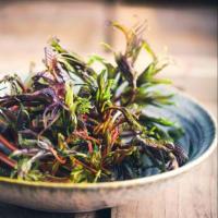 ราคา 50 เมล็ด ผักตูน ผักหวานป่าเกาหลี Toona Sinensis Seeds (22708368206)