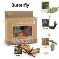 ราคา ITEFUG เด็กๆเด็กๆ โมเดลพลาสติก วัสดุสำหรับการสอน ฟิกเกอร์แอคชั่น วงจรการเติบโตของผีเสื้อ ของเล่นโมเดลเด็ก แบบจำลองพืชจำลอง โมเดลวงจรการเจริญเติบโตของสัตว์ ของเล่นเด็กวงจรชีวิตสัตว์ ตุ๊กตารูปวงจรชีวิต 