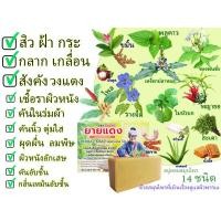 ราคา สบู่ยายแดง สมุนไพร ทองพันชั่ง พญายอ รางจืด พลูคาว ใบบัวบก สะเดา เหงือกปลาหมอ มังคุด ไพล หัวไชเท้า น้ำผึ้ง ขมิ้น ว่านหางจระเข้ และมะขาม (22105411539)