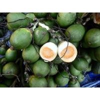 ราคา ผลหมาก หมากพลู สำหรับเคี้ยวหมาก สดใหม่ 1มัด (22855674714)