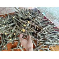 ราคา บอระเพ็ดสด 1 กิโล เก็บสดๆ จากป่า อินทรีย์ สมุนไพร (22849371472)