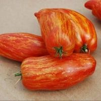 ราคา 30 เมล็ด เมล็ดมะเขือเทศ สายพันธุ์นอก เมล็ดผักสวนครัว ปลูกได้ทุกที่ ปลูกผักทาน ปลอดสารพิษ Tomato seeds สายพันธุ์ Speckled Roman (21728476900)