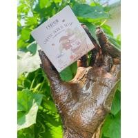 ราคา โฉมใหม่สบู่สครับกาแฟ พิชชี่ของแท้โฉมใหม่ สบู่สครับกาแฟ พิชชี่ Phichy By Phichara coffee scrub soap ของแท้ 50 กรัม (18888807447)
