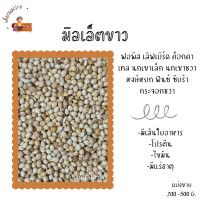 ราคา มิลเล็ตขาว แบ่งขาย 200G 500G 1KG อาหารนกหงษ์หยก ฟิ้นซ์ ซีบร้า กระจอกชวา (20512722380)