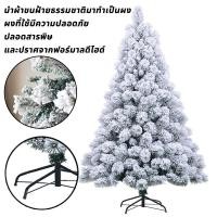 ราคา ส่งจากไทย ต้นคริสต์มาส ต้นคริสมาสต์ รุ่นใหม่ ต้นไม้คริสต์มาสจำลอง PVC ตกแต่งคริสต์มาส ใช้ในบ้าน ห้างสรรพสินค้าใหญ่ 1 2 1 5 1 8 2 1เมตร christmas tree (22959488063)