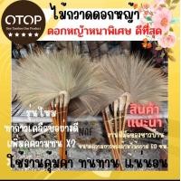 ราคา ไม้กวาดดอกหญ้า รุ่นใหม่ทากาวเคลือบอย่างดี ดอกหญ้าหนาพิเศษ ดีที่สุด (22777221521)