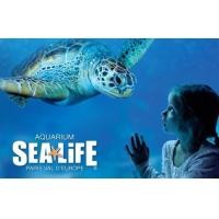 ราคา E Voucher บัตรเข้าชมซีไลฟ์ แบงคอก Sea Life Bangkok หมดเขต30 11 24 (16356866626)