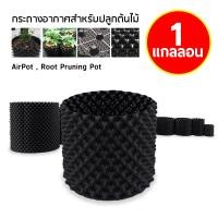 ราคา กระถางปลูกต้นไม้เร่งราก Air Pot เร่งรากเร็วขึ้น2เท่า กระถางต้นไม้เพิ่มราก เกรดAเนื้อเงา (17729922039)