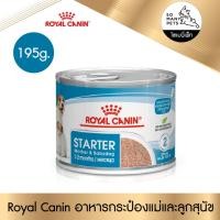 ราคา อาหารสุนัข Royal Canin Mother Baby Dog Food Starter Mousse สูตร แม่และลูกสุนัข 195 กรัม (21969338825)