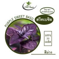 ราคา สวีทเบซิลม่วง โหระพาอิตาเลี่ยนม่วง Organic Purple Sweet Basil (21527867094)