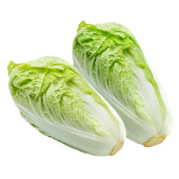 ราคา 1000 เมล็ด ผักกาดขาว ผักกาดขาวปลี ผักกาดเขียวปลี แปะฉ่าย แปะฉ่ายลุ้ย Napa cabbage Seeds (21739670198)