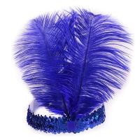 ราคา HUFANG ที่คาดผมประดับเลื่อมคริสตัลขนนกอินเดียเครื่องประดับผมแฟชั่นแบบอินเดียสำหรับปาร์ตี้วันหยุด (22315003670)