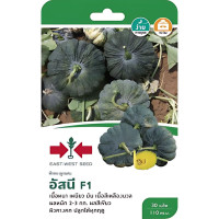 ราคา เมล็ดพันธุ์ ฟักทองลูกผสม อัสนี ตราศรแดง (22823467732)