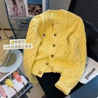 ราคา เสื้อคาร์ดิแกนไหมพรมลายเกลียวสีเหลืองสไตล์อ่อนโยนสำหรับผู้หญิงเสื้อตัวนอกผ้าถักตัวสั้นออกแบบพิเศษแนววินเทจสไตล์ตะวันตกแบบใหม่ฤดูใบไม้ร่วงปี2024 (21876220732)