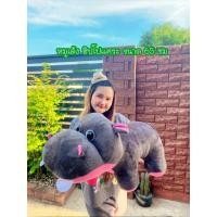 ราคา ตุ๊กตาหมูเด้ง ฮิปโปแคระ น่ารักน่ากอด มีหลายแบบให้เลือก (23064943746)
