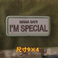 ราคา Long strip embroidery supreme 3D Velcro Patch Badges armband Emblem Decorative For Jackets Jeans Backpack cap (20798596410)