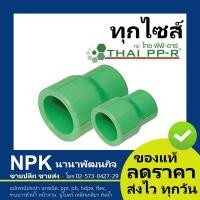 ราคา ข้อลดกลม PPR ของแท้ ไทยพีพีอาร์ ท่อพีพีอาร์ Thai PPR (5901276811)