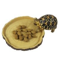 ราคา ถาดน้ำ ถาดอาหาร สำหรับสัตว์เลื้อยคลานและแมลงต่างๆ มีขอบเตี้ย สัตว์สามารถเข้าถึงอาหารได้ง่าย มีหลายแบบ แข็งแรง ทนทาน (11040111238)