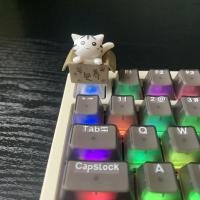 ราคา Cute Cat Keycaps ABS Custom keycaps Transparent LED Through keycap (21835880551)