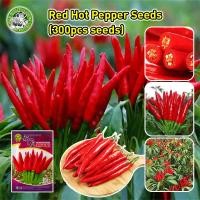 ราคา ปลูกง่าย COD ของแท้ 100 เมล็ดพันธุ์ พริกจินดาแดง High Yield Super Spicy Red Hot Chili Seeds Hot Pepper Seeds for Planting Bonsai Vegetable Seeds Red Pepper Plants พริก เมล็ดพันธุ์ เมล็ดพันธุ์ พริกชี้ 