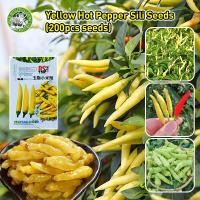 ราคา ปลูกง่าย COD เมล็ดสด 100 เมล็ดพันธุ์พริกเหลือง High Yield Bonsai Yellow Hot Pepper Seeds for Planting Yellow Hot Chili Pepper Plant Seeds Vegetable Seeds มล็ดพันธุ์ พริกเหลืองอินโด เมล็ดพันธุ์พริก ผั 