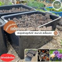 ราคา กล่องพลาสติก 100 ลิตร ปลูกต้นไม้ เลี้ยงปลา อ่างปลา เพาะบัว การเกษตร กล่องพลาสติก ตำหนิเล็กน้อย (21804048496)