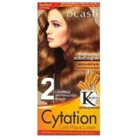 ราคา ดีแคช โปรเฟสชั่นนอล ไซเทชั่น น้ำยาดัด 100 มล และดัด ฟอยล์ไฮไลน์ ชุดประหยัด (20002124816)