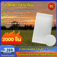 ราคา ถาดเพาะกล้านาโยน Seedling tray 434 มีให้เลือกซื้อ 10 700 ชิ้น ถาดนาโยน ถาดเพาะปลูก ถาดเพาะกล้า ถาดเพาะนาโยน เพาะถาดเพาะนาโยน เพาะกล้าข้าว (22802638125)