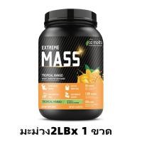 ราคา Ozmolts Mass Gainer โปรตีน เวย์โปรตีน 50g โปรตีนสูง Weight Gainer 2LB Chocolate รสช็อกโกแลต Mass Protein เพิ่มกล้ามเนื้อ เพิ่มน้ำหนัก (22834662960)