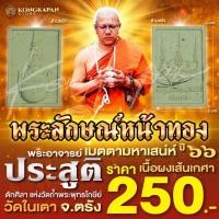 ราคา พระลักษณ์หน้าทอง เนื้อผงเส้นเกศา พระอาจารย์ประสูติ วัดในเตา จ ตรัง (22606183326)