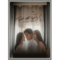 ราคา DVD ละครไทย เรื่อง ลมเล่นไฟ 5แผ่นจบ (22171965981)