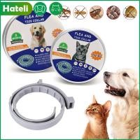 ราคา HATELI ปลอกคอไล่ยุงสำหรับสุนัขปลอกคอกำจัดเห็บกำจัดเห็บหมัดป้องกันพยาธิสำหรับสัตว์เลี้ยงสายจูงแมวสุนัขใหญ่เล็กอุปกรณ์สำหรับสุนัขแบบยืดหดได้ (17711041891)